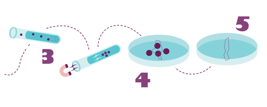 Illustrasjon som viser hvordan koronaprøver behandles på laboratorium