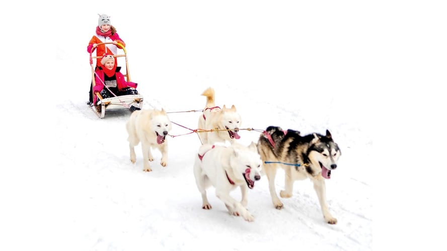 To jenter på hundeslede