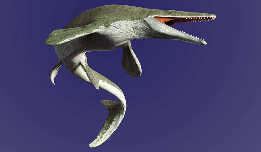 Slangelignende krypdyr med åpen munn og skarpe tenner