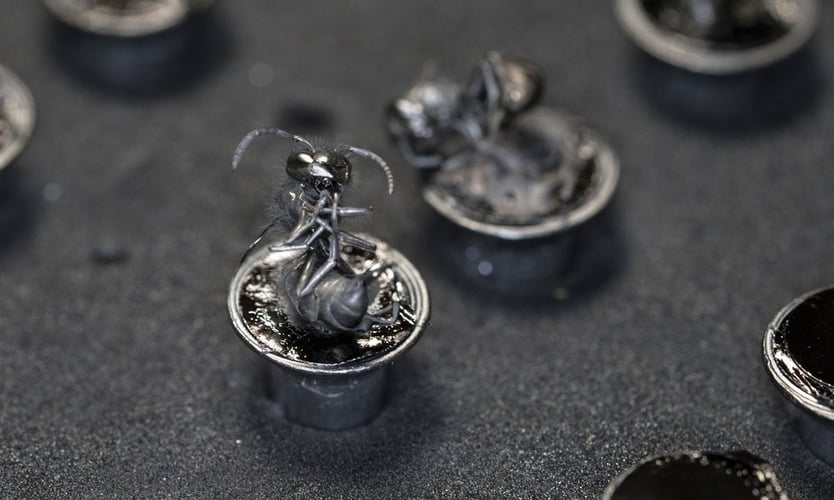 En liten veps dekket av metall