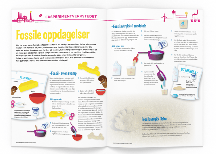 Illustrasjon av hva du trenger og hvordan du skal gjennomføre eksperimentet