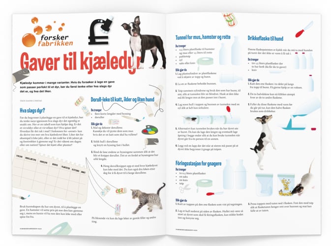 Illustrasjon av hva du trenger og hvordan du skal gjennomføre eksperimentet