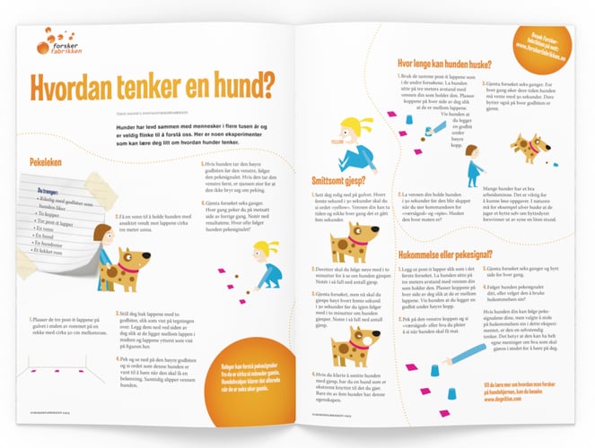 Illustrasjon av hva du trenger og hvordan du skal gjennomføre eksperimentet