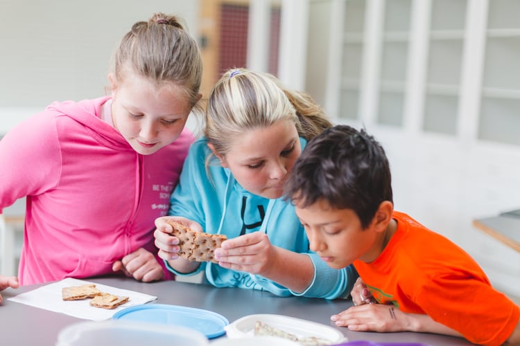 The elever sitter ved et skrivebord og utfører tester på knekkebrød. 