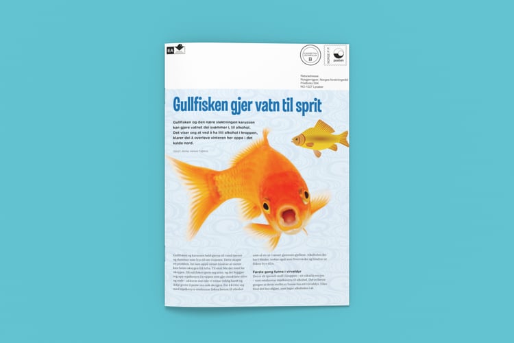 Bilde av artikkelen slik den ble vist i Nysgjerrigper-bladet