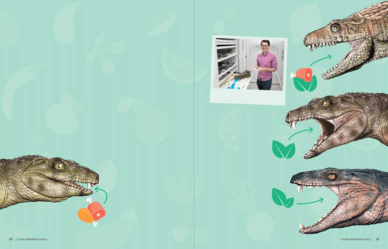 Artikkelen Vegetarkrokodiller med bilder
