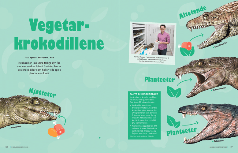 Artikkelen Vegetarkrokodiller med bilder og bildetekst