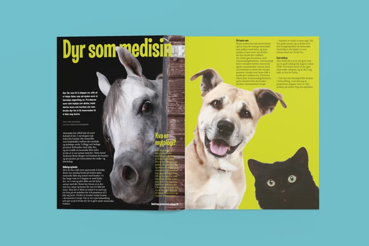 BIlde av artikkelen Dyr som medisin, slik den ble vist i Nysgjerrigper-bladet.