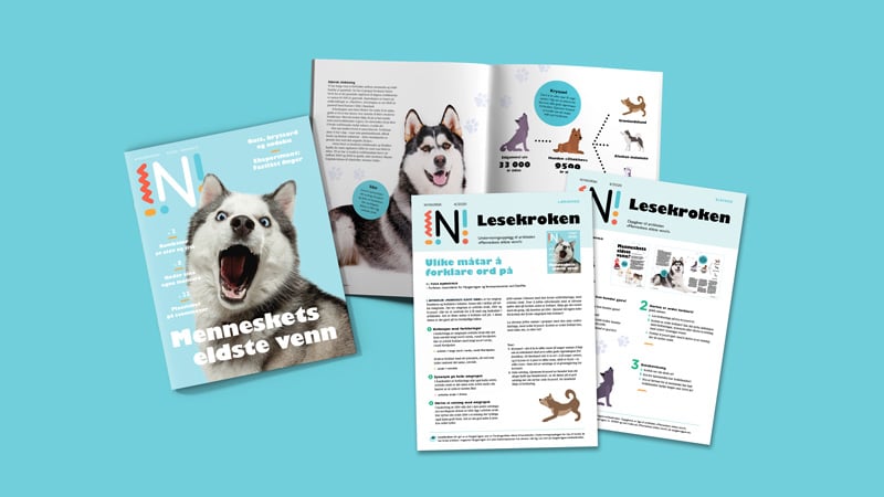 Nysgjerrigper-bladet 4-2020 med tilhørende oppgaver mot turkis bakgrunn