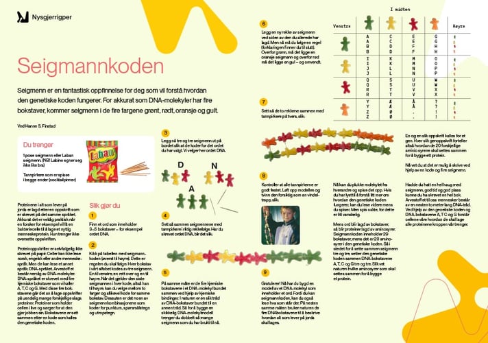 Oppgaveark for seigmannkoden, beskrivende tekst og seigmenn.