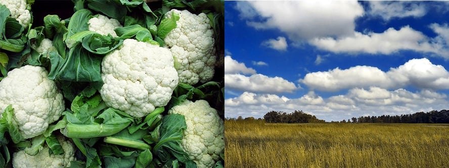 To bilder: et bilde av blomkål og et av en haugsky som kan minne om blomkål i fasongen