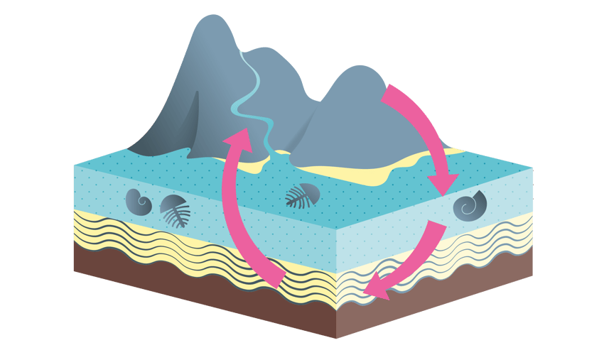 Tegningen viser et fjell og fra fjellet går det en pil ned i vannet under. Deretter går det en pil fra vannet til et bølgete, sandfarget lag under. En ny pil går fra det sandfargete laget og opp til fjelletigjen. I vannet er det tegnet inn runde spiraler som forestiller fossiler. 