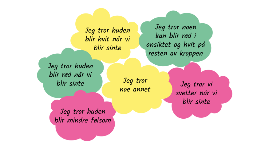 Tankebobler i ulike farger med teksten: Jeg tror huden blir rød når vi blir sinte. Jeg tror huden blir hvit når vi blir sinte. Jeg tror noen kan bli rød i ansiktet og hvit på resten av kroppen. Jeg tror vi svetter når vi blir sinte. Jeg tror huden blir mindre følsom. Jeg tror noe annet.