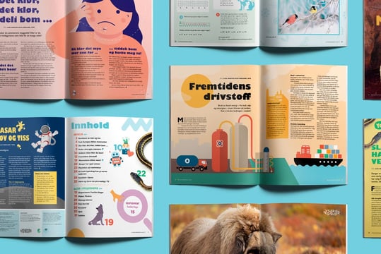 Artikler fra Nysgjerrigper nr. 4-2020