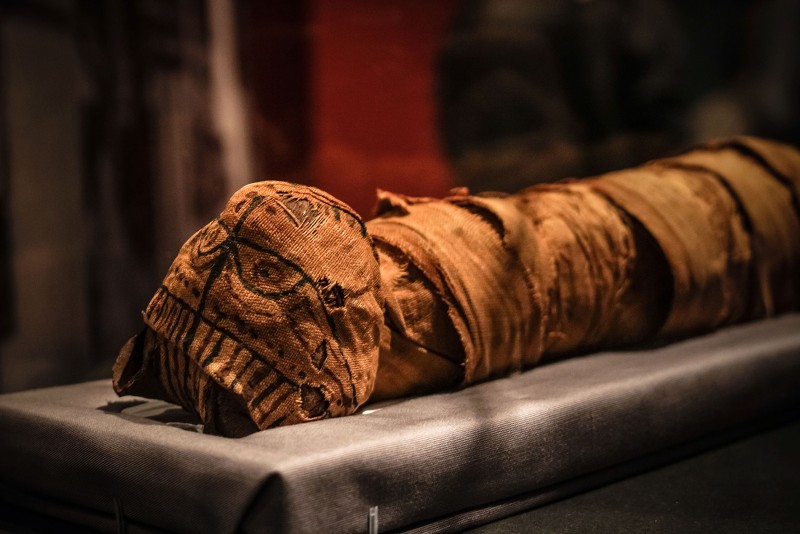 Kattemumie fra Egypt.