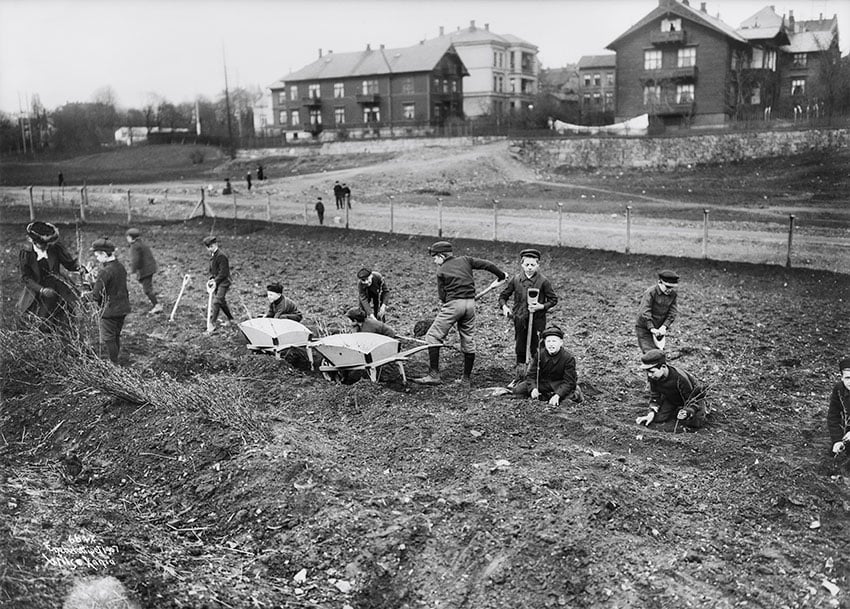 Gutter som jobber i skolehagen ved Briskeby skole i Oslo i 1907.