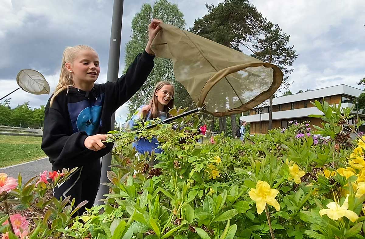 Jenter holder håv over blomster