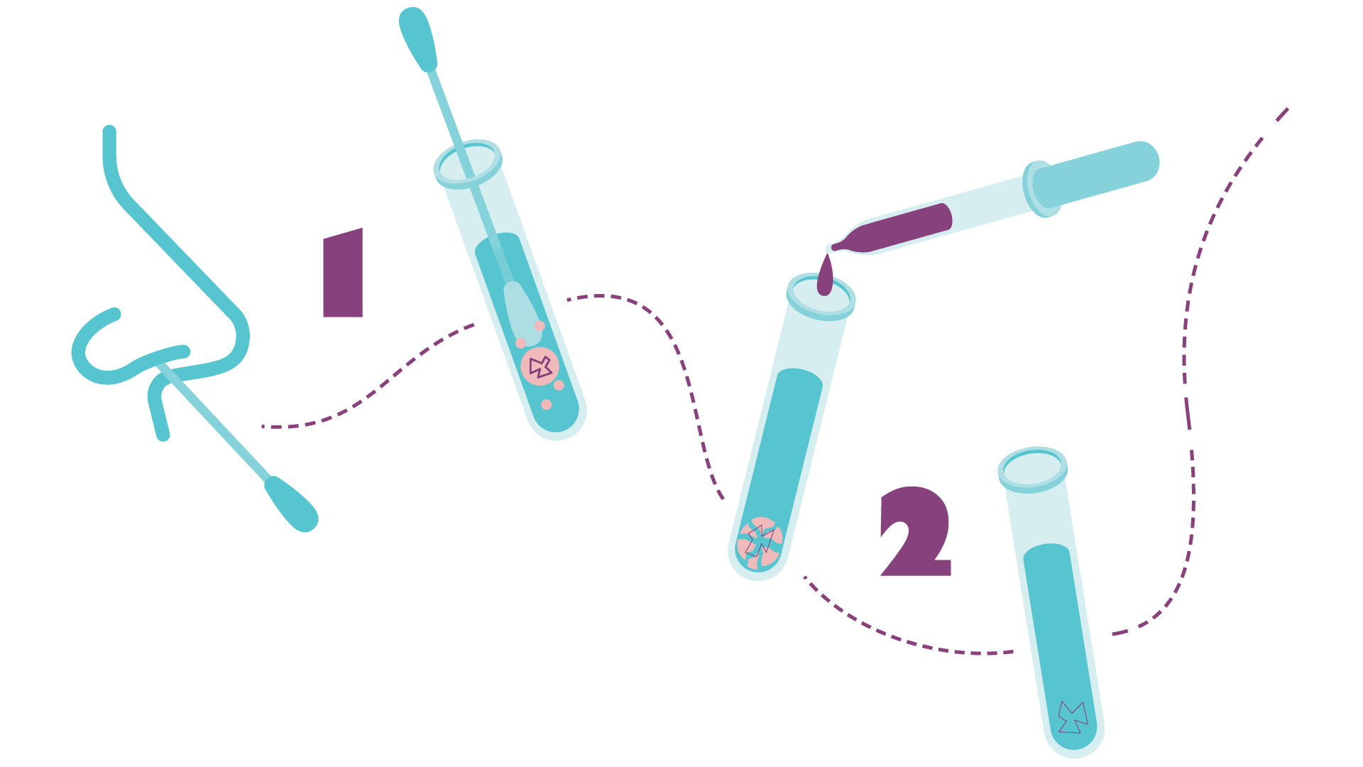 Tallet 1 ved siden av en bomullspinne i en nese, og deretter i et reagensrør. En stiplet linje går videre til tallet 2 der en pipette drypper noe i reagensrøret.