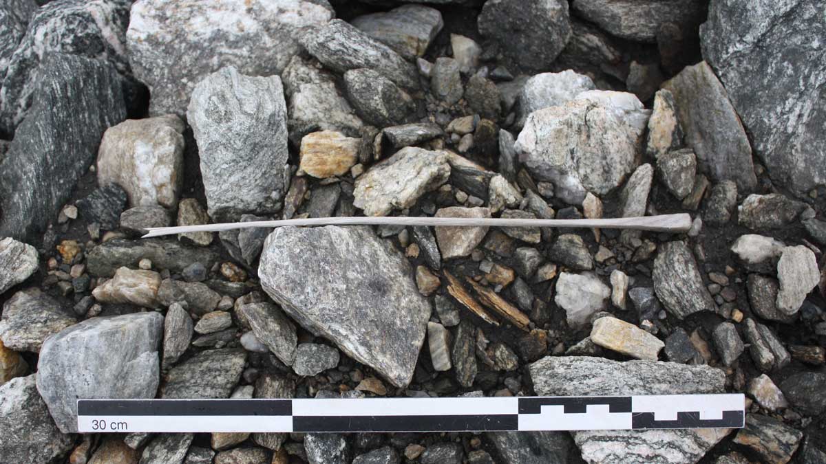 Lang og tynn pil av tre ligger blant steiner