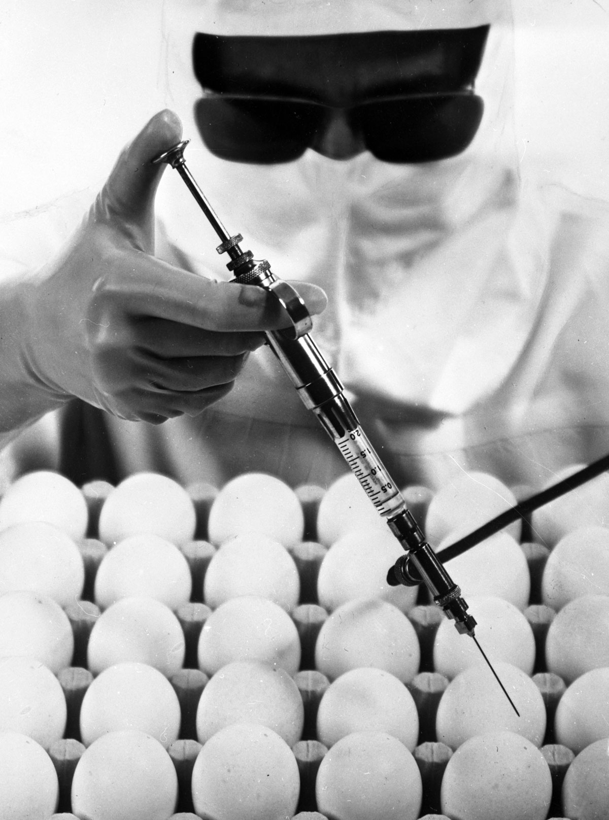 Person med beskyttelsesfrakk og briller holder sprøyte over brett med egg.