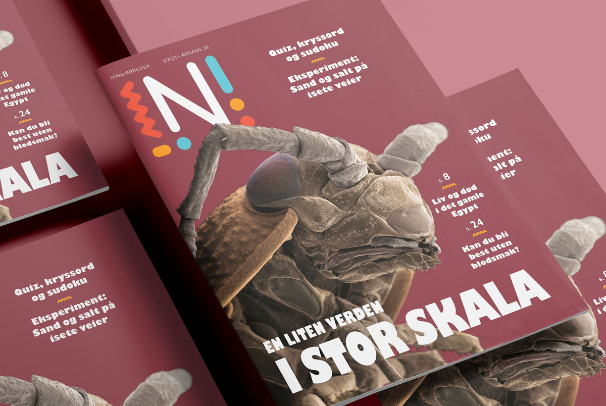 Forside av Nysgjerrigper-bladet med mikroskopbilde av insekt og teksten En liten verden i en stor skala mot lilla bakgrunn.