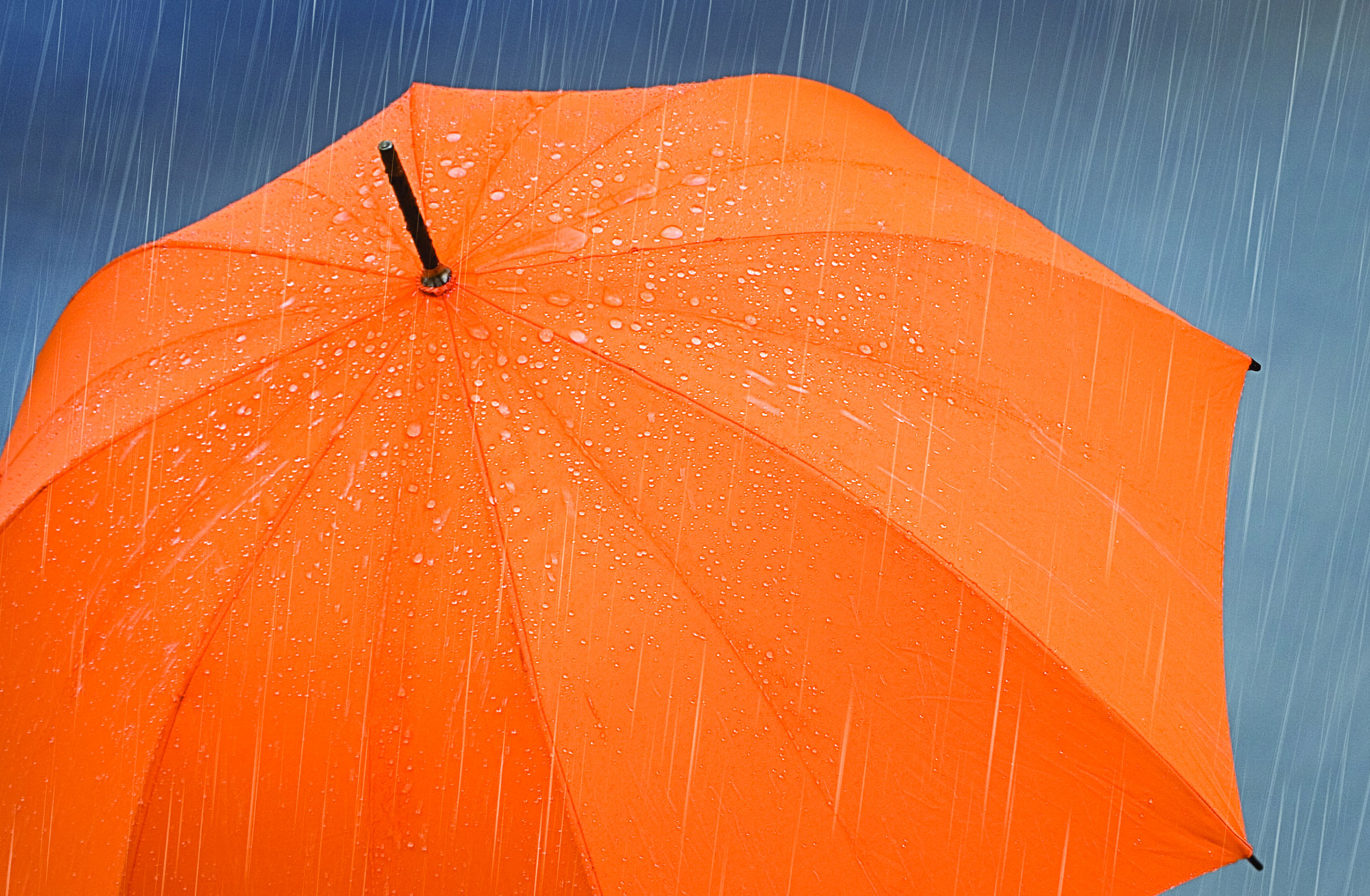 Oransje paraply i regn