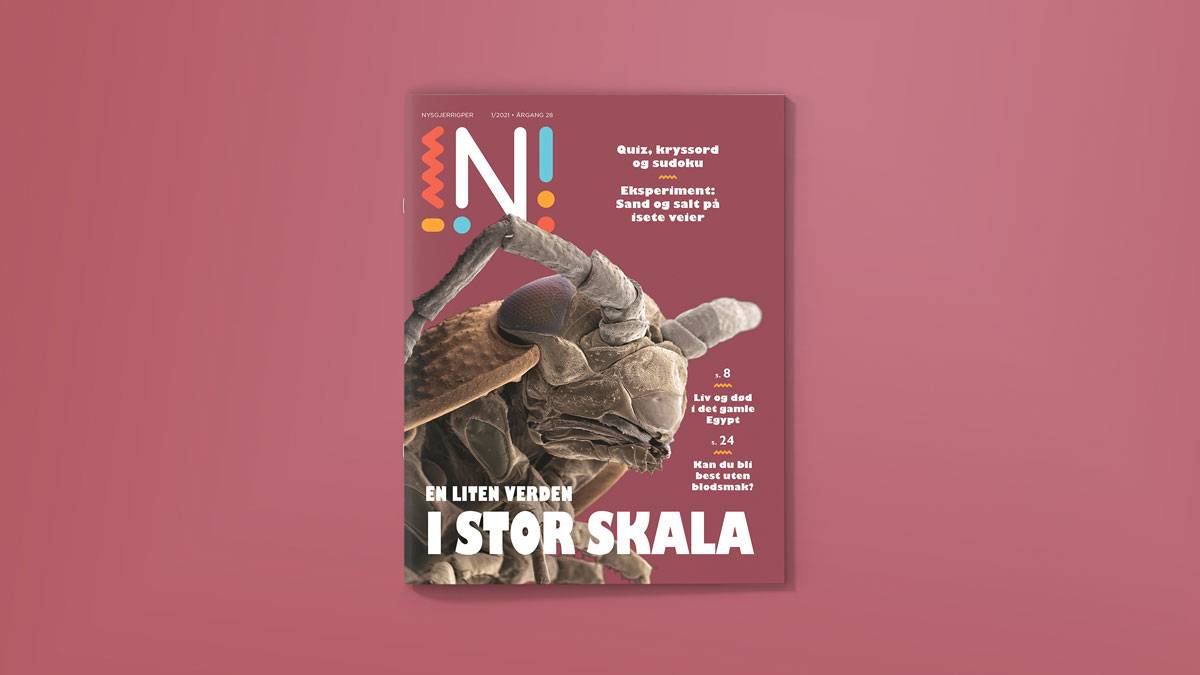 Forside av Nysgjerrigper-bladet med mikroskopbilde av insekt og teksten En liten verden i en stor skala mot lilla bakrgunn.